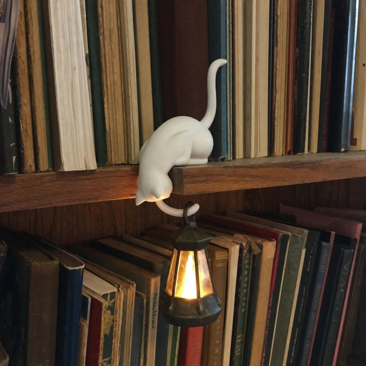 Bookshelf Lamp